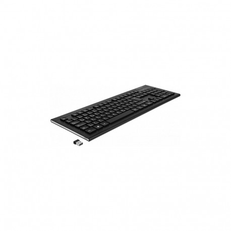 "Delock USB Tastatur 2,4 GHz kabellos schwarz (Water-Drop )"