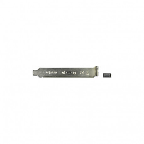 "Delock Slot bracket - USB-Konsole - 20-poliger USB 3.1 Header (M)"