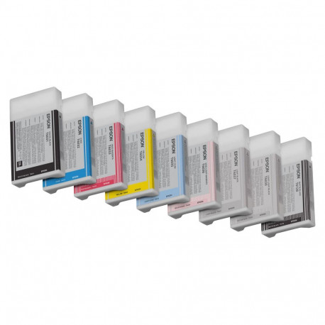 "Epson C13T603900 light black"