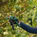 Bosch EasyPrune pruning shears Bypass Black, Green