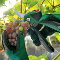 Bosch EasyPrune pruning shears Bypass Black, Green