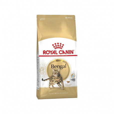 ROYAL CANIN FBN Bengal Adult - dry cat food - 10kg