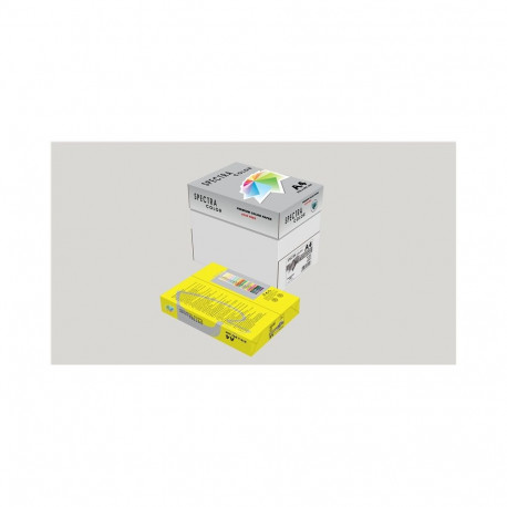 Spectra Color sidrunikollane IT210