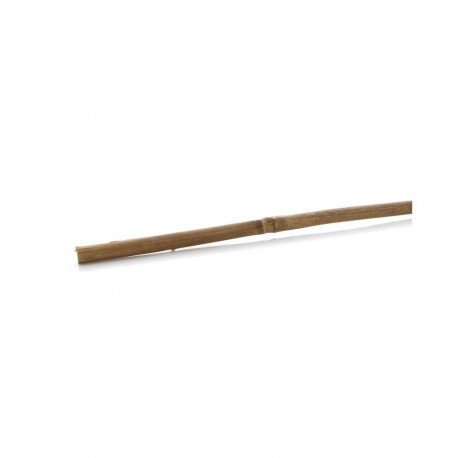 STICK PLANT SUPP 60CM D6/8 BAMB(50/500)