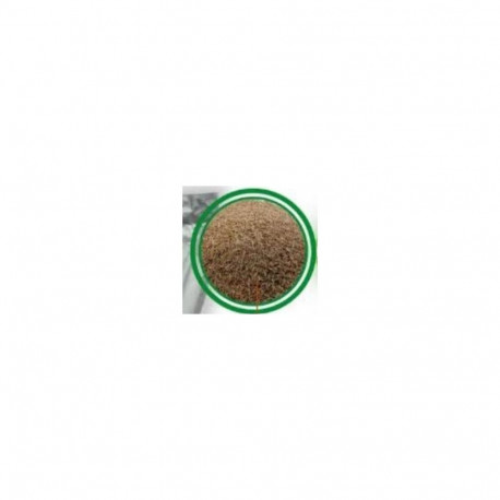 GRASS SEED MIXTURE SUN 20KG