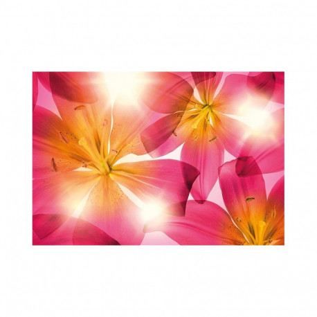 Fototapeet suvine päike