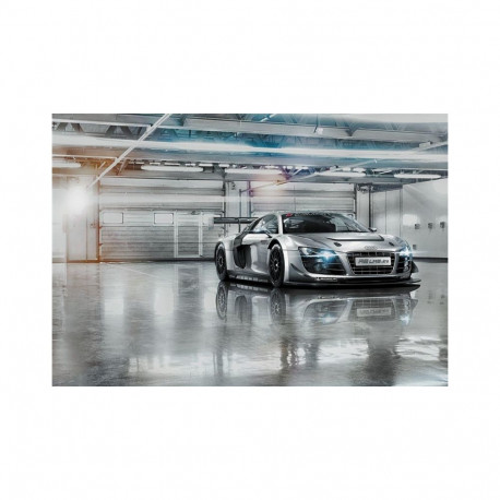 Fototapeet 368x254cm 8-957 Audi