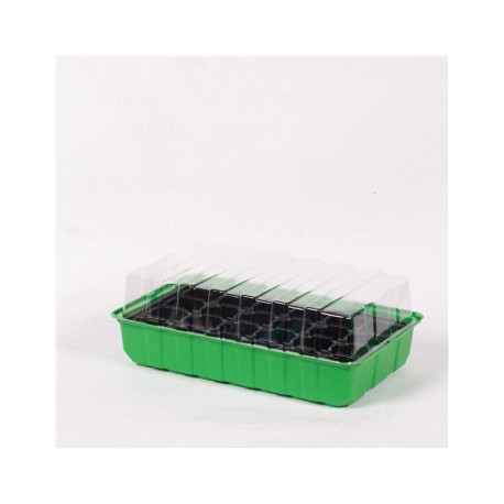 SPROUTING GREENHOUSE 198662 24 BEADS