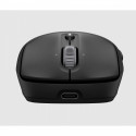 Mouse 700 Wireless - AZ7B0AA#ABB