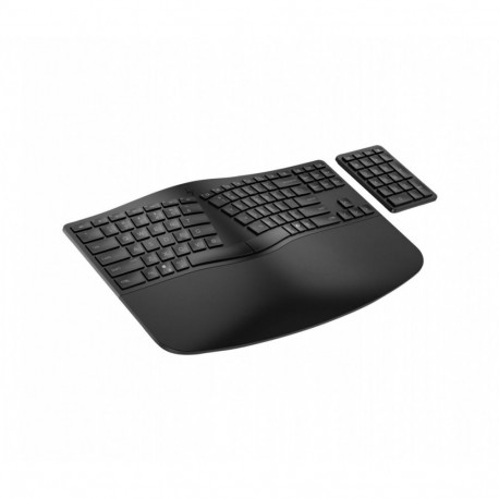 960 Ergonomic Wireless Keyboard black 7E755AA#ABB