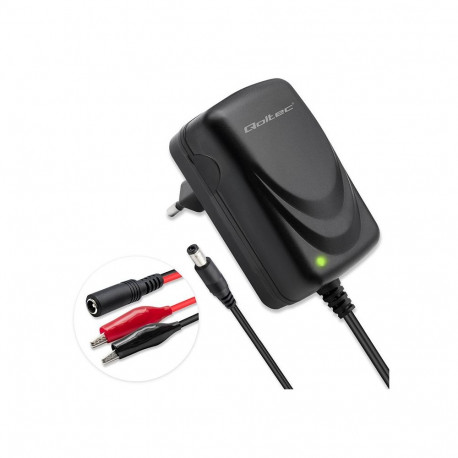 Charger for AGM GEL STD 6V 12V 6W 5.5x2.1