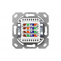 CAT 6, Class E, Wall Outlet, shielded, surface mount