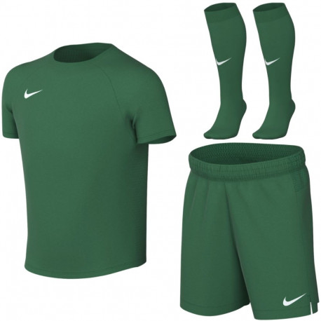 Komplet sportowy dla małych dzieci Nike Dri-Fit Park VIII zielony HV8260 302 XS