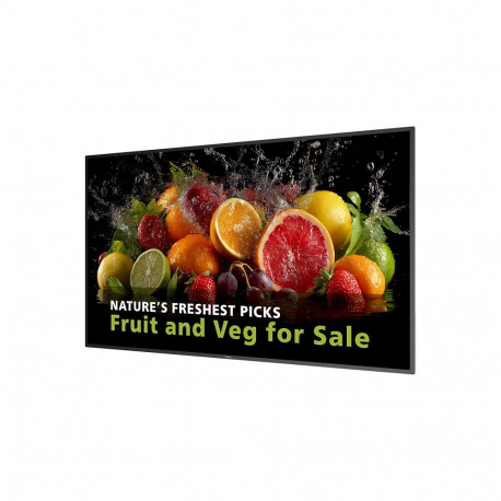 Philips 65BDL5050D digitaalne infonäidik 164 cm 65-tolline