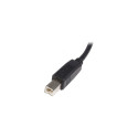 "StarTech 1m USB 2.0 A to B Cable - M/M"