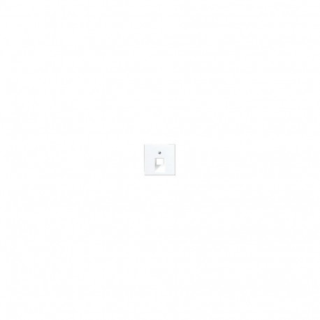 "Jung A 569-1 PL UA WW Abdeckung für eine IAE/UAE-Dose"