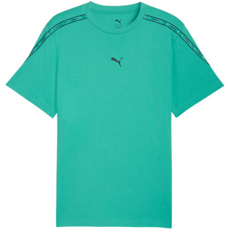 Puma meeste t-särk Tape Tee 691693 40 S, roheline
