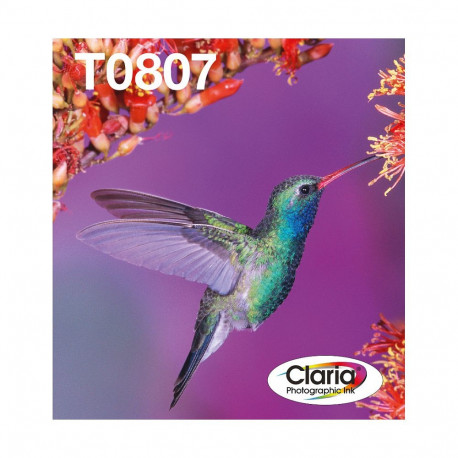 Epson originaal Easy Mail Packing T0807 Kolibri printerikassettide 6-ne komplekt BK/C/M/Y/LC/LM (C13