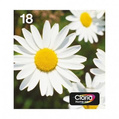 Epson 18 karikakar originaal printerikassetid, neljane pakk, Easy Mail pakend (C13T18064511)