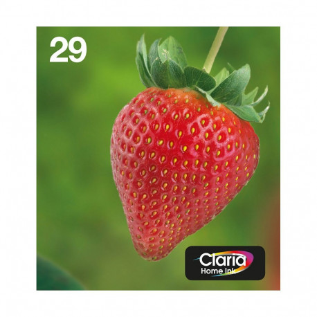 "Epson Original Easy Mail Packing 29 Erdbeere Druckerpatronen - 4er Multipack (C13T29864511)"