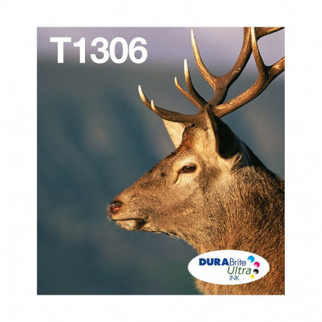 Epson T1306 Hirsch originaal printerikassettide kolmene multipakk C/M/Y Easy Mail Packing (C13T13064