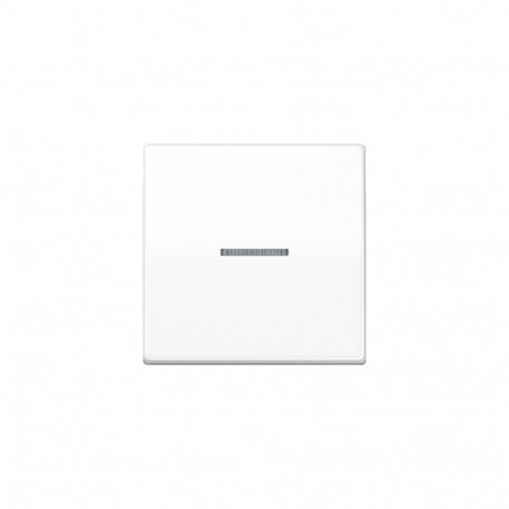 "Jung AS101KO5WW Wippe f.Taster KO"