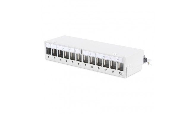 Digitus 1HE 12-port modulaarne lauapealne SOHO hall ühenduspaneel