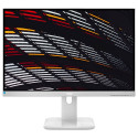 "X24P1GR 61CM 24IN IPS"