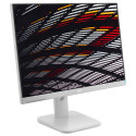 "X24P1GR 61CM 24IN IPS"