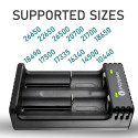 everActive LC-200 Smart Lithium Battery charger