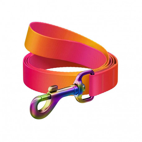WAUDOG gradient nylon dog leash, 122 cm long, orange