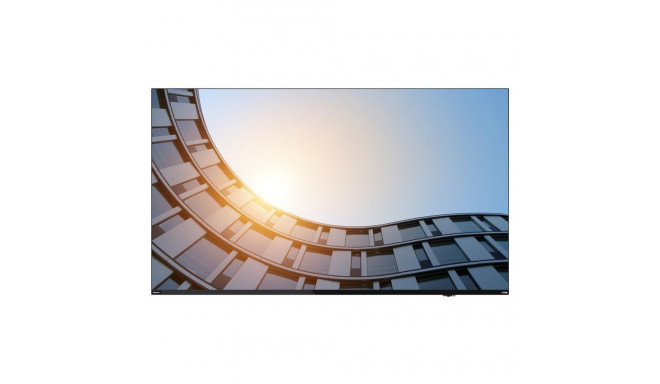 "Lenovo THINKVISION E65"