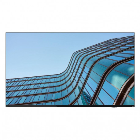 "Lenovo THINKVISION E55"