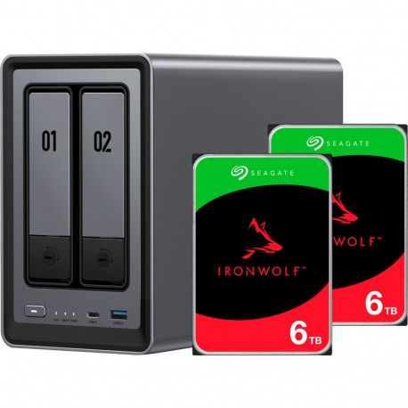 DXP2800 + Seagate IronWolf kõvakettad 2x6TB komplekt