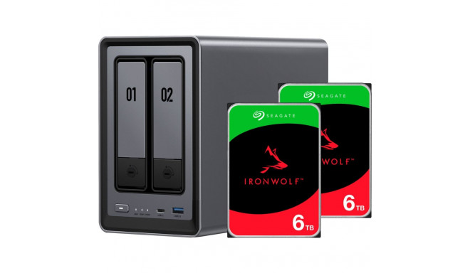 DXP2800 + 2x 6 TB Seagate IronWolf HDD Bundle