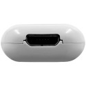 Shelly The Pill (white)