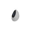 Mouse Euphonie Pro bezprzewodowa white