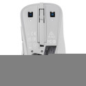 ASUS MD102 valge vaikne hiir