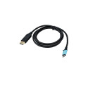 "I-TEC USB-C DP CABLE 4K/60HZ 2M"