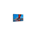 M651-2 65-tolline UHD 500CD/QM