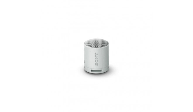 Sony SRS-XB100 Bluetooth Speaker Light Gray EU