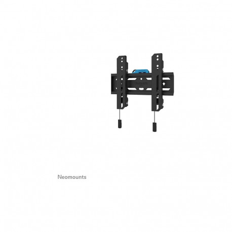Seinakinnitus 24-55" ekraanidele 50 kg WL30S-850BL12 Neomounts