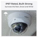 "Reolink P437 PoE Cam"