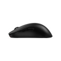 "BenQ ZOWIE ZA13-DW"