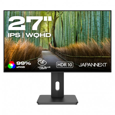 "JapanNext WQHD Monitor 68,6cm (27"")"