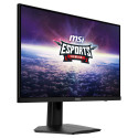 MSI monitor G244F E2