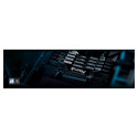 "24GB 8800MT/S CL42 CUDIMM"