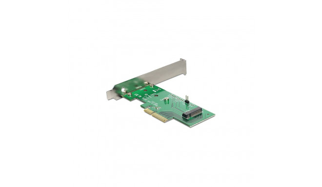 "DeLock NVMe M.2 Key M PCI Express-Karte"