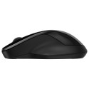"HP 250 Maus kabellos schwarz"