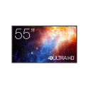 N3551K 55-tolline UHD 450CD/M2